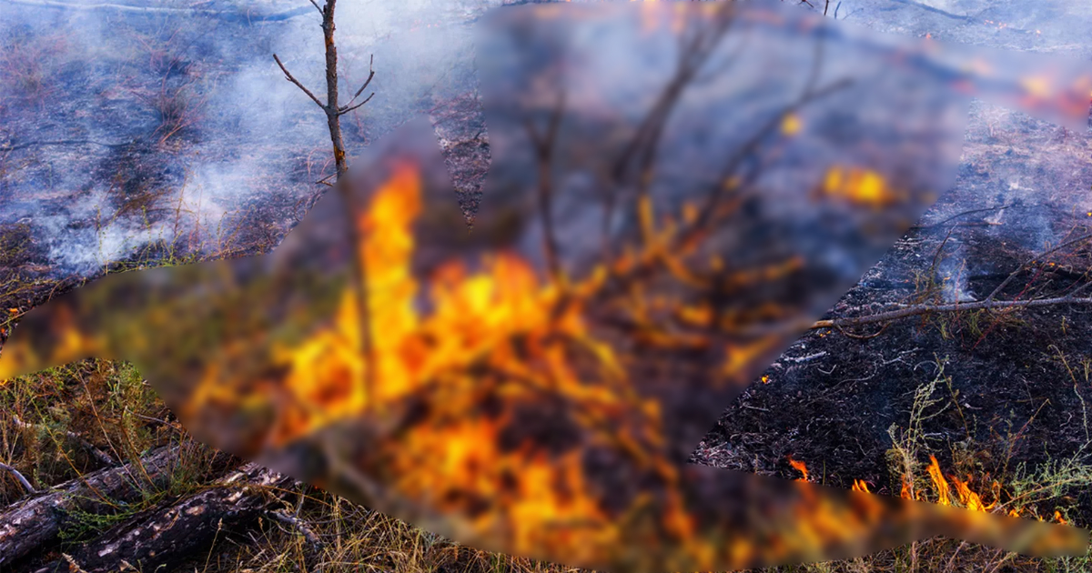 Incendios