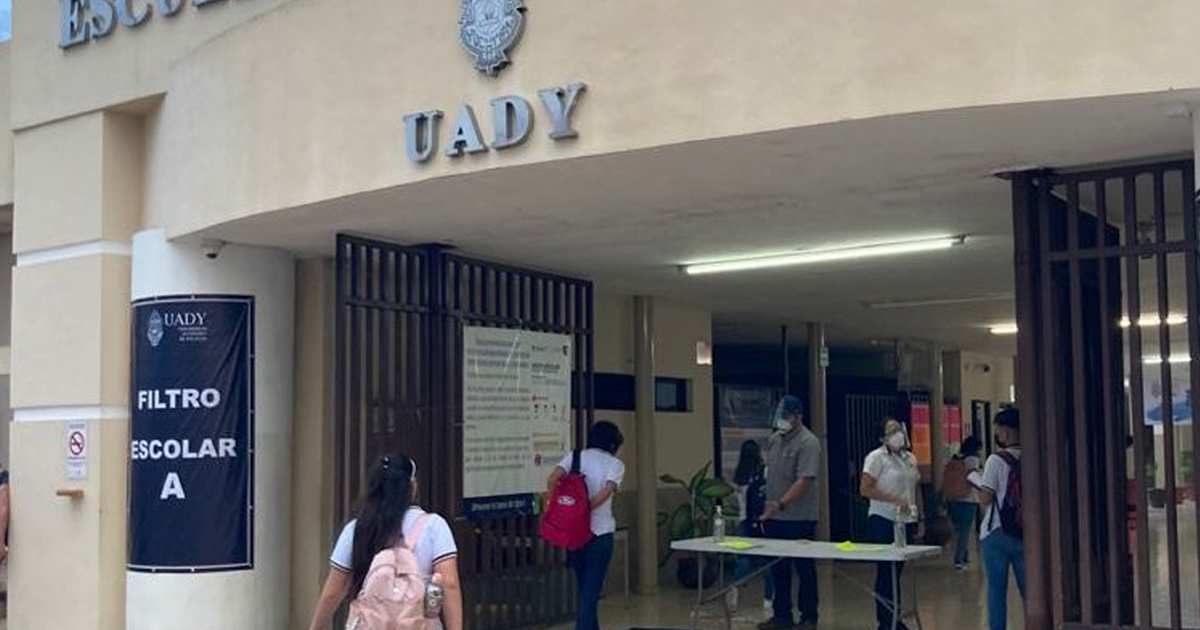 Uady wp