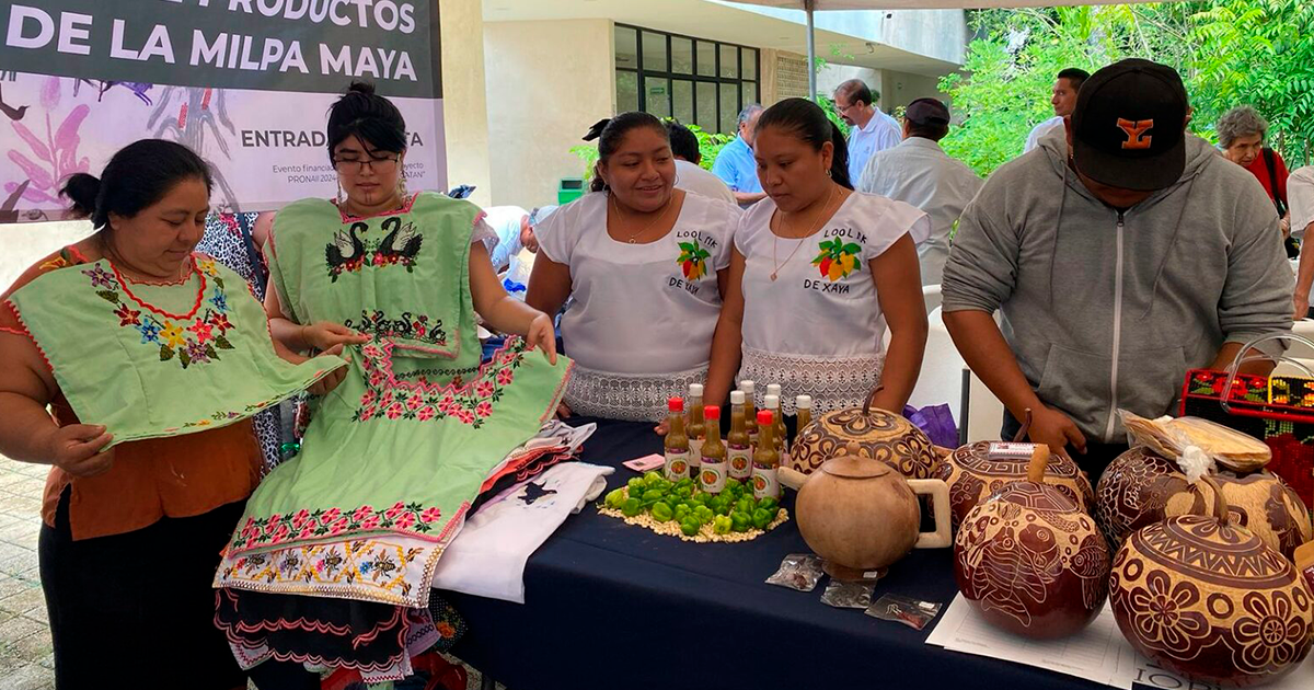 Mercado verde: CICY ofrece productos orgánicos en Mérida Xzcvcvb