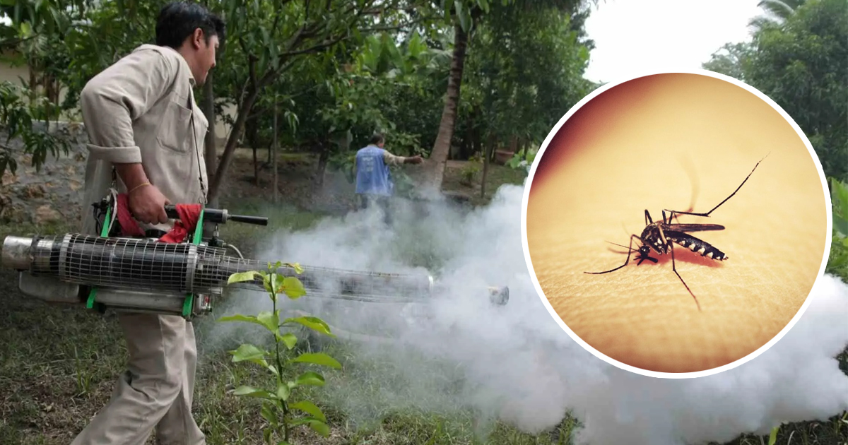 Dengue menos