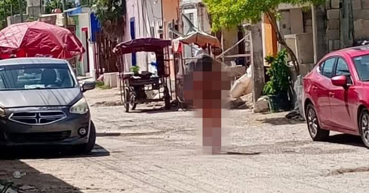 Desnudo wp