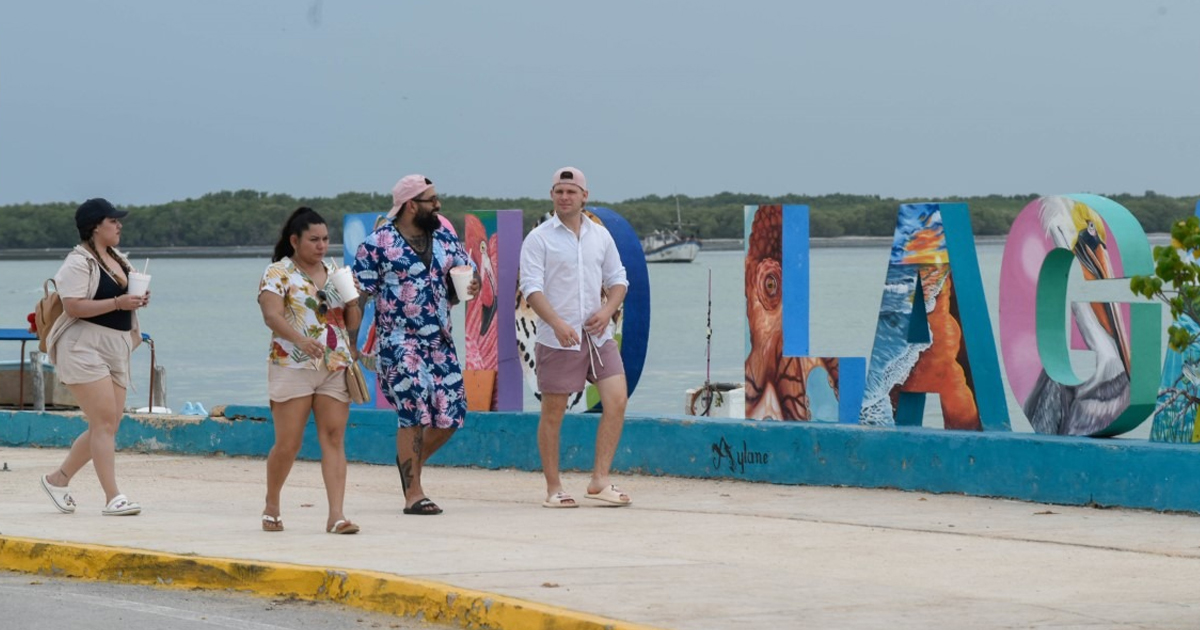 Veri y viaja