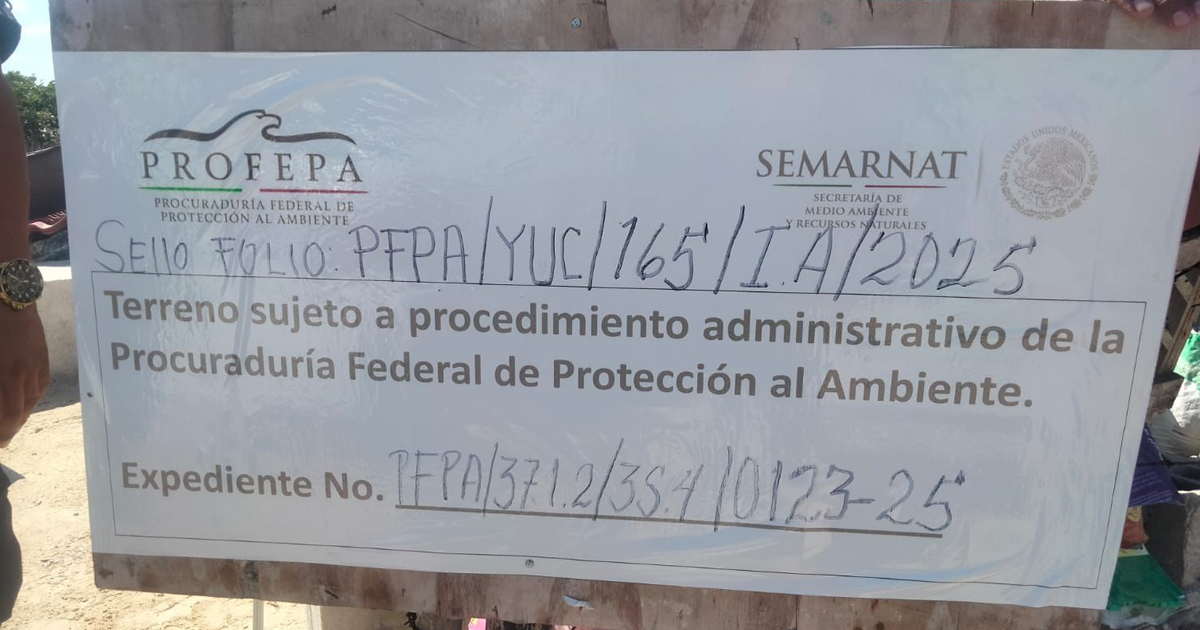 Profepa chelem5