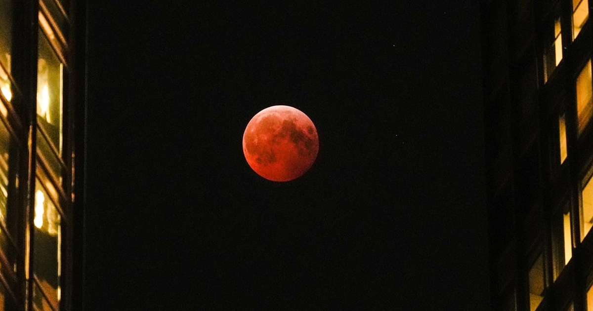 Luna WP