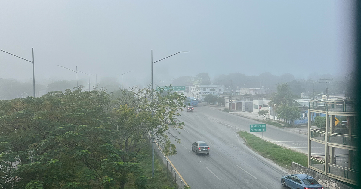 Neblina WP