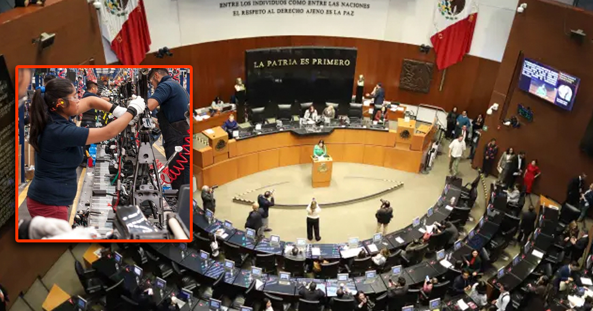 Senado WP