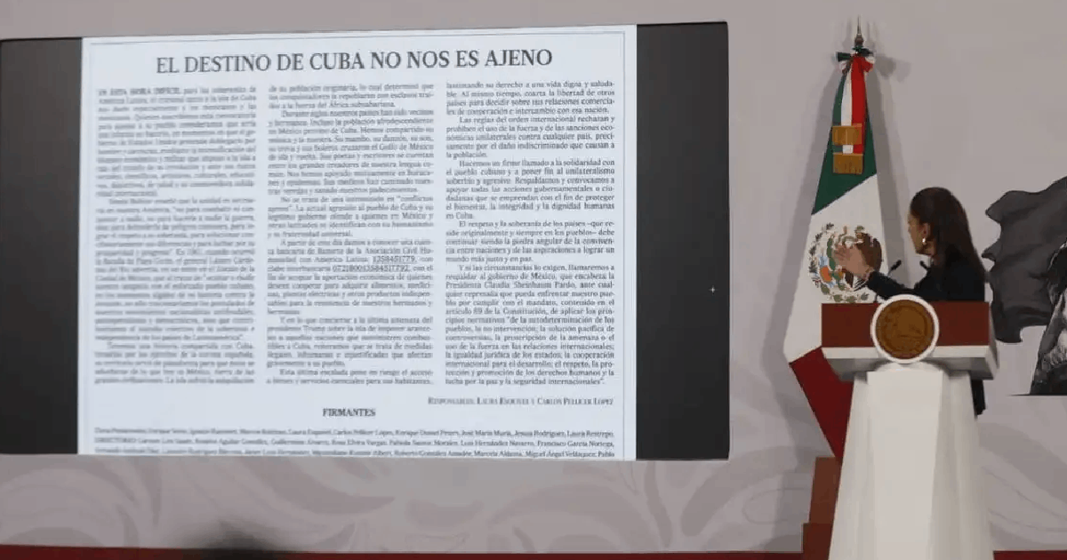 YI Web (3)