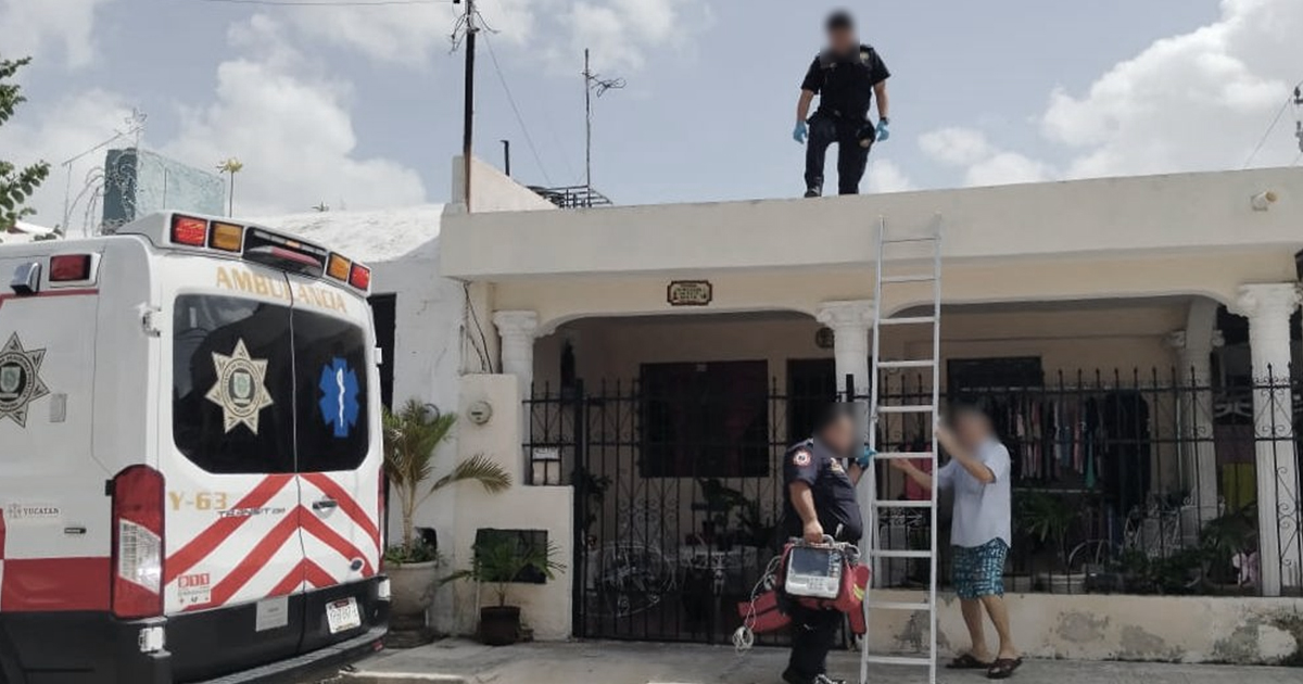 Techo abuelito WP