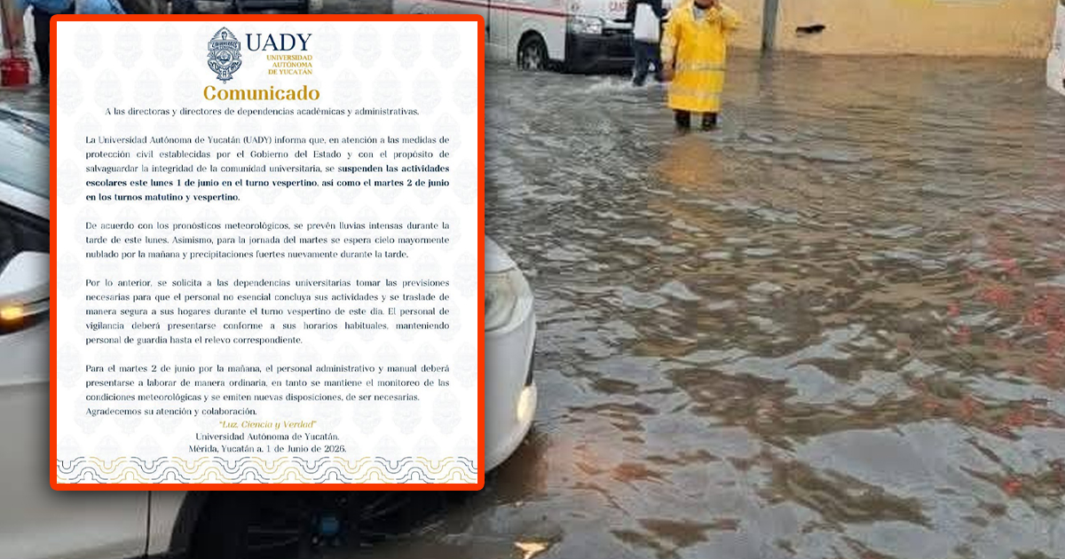 Uady Suspend WP
