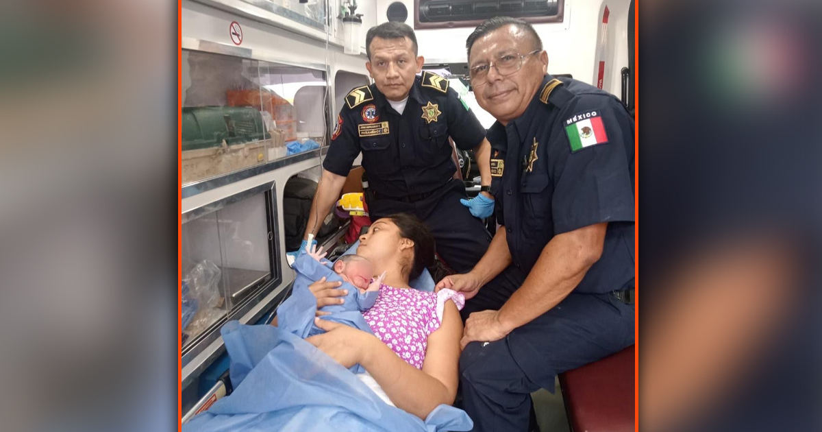 Bebe ambu WP