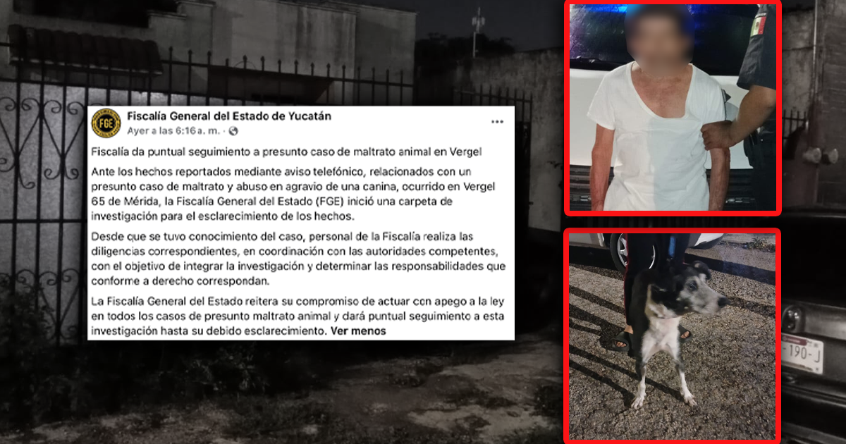 Carpeta WP